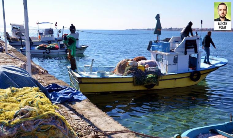 WWF Türkiye, küçük ölçekli balıkçılara destek için balıkçılık turizmi önerdi