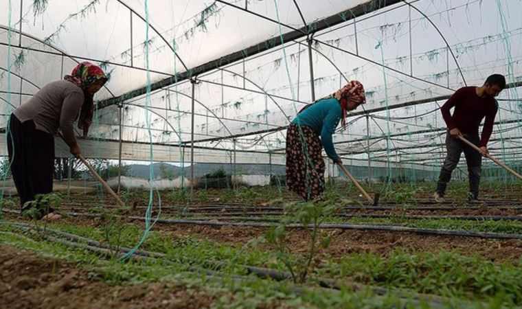 Tarımda çalışanlar için prim ödemede yeni dönem