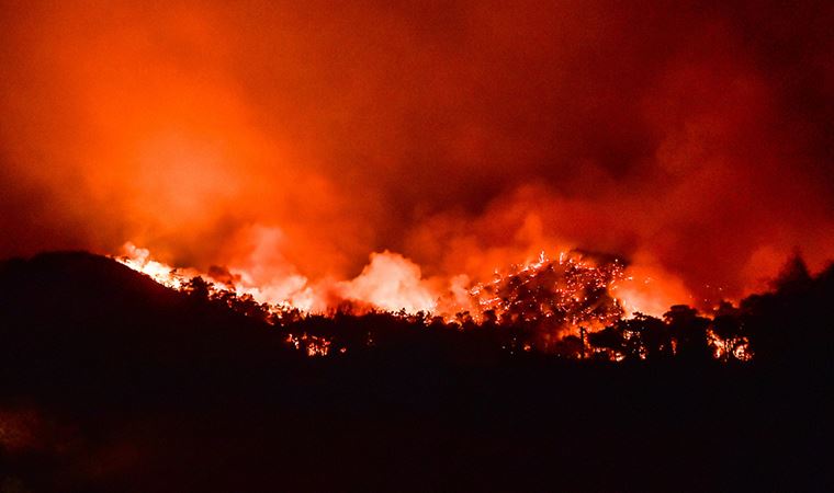 Marmaris’te rüzgarın şiddetiyle büyüyen yangın devam ediyor