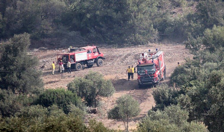 Rüzgar alevleri güçlendirdi: Çökertme'ye kül yağıyor