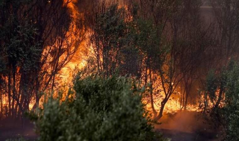 Manavgat'taki yangınla ilgili 16 yaşındaki bir şüpheli tutuklandı