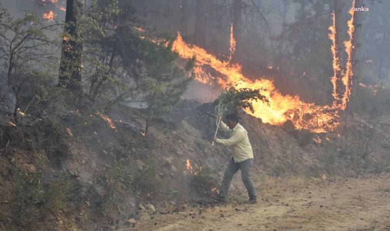 Bir orman yangını da Aydın Karacasu‘da başladı