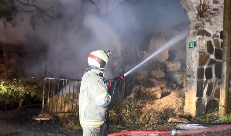 Bursa'da ormanın 6 farklı noktasında ve samanlıkta eş zamanlı yangın