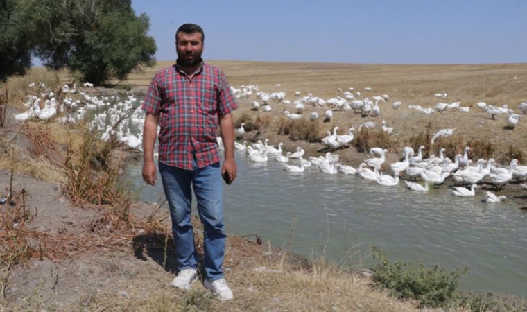 Hobi olarak 50 kazla başladı, şimdi taleplere yetişemiyor