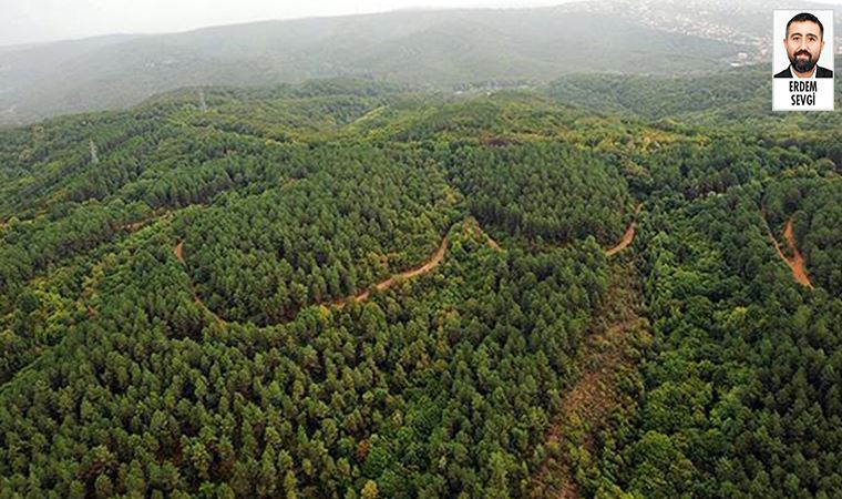 Orman Genel Müdürlüğü, orman yangınları için ayrılan bütçeyi kullanmadığı ortaya çıktı