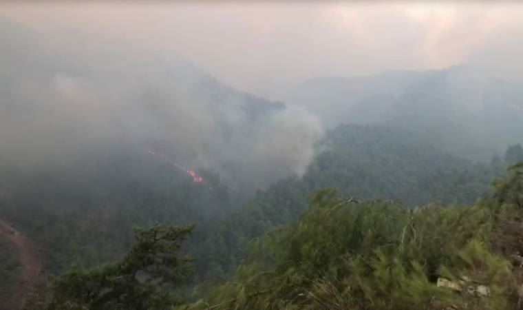 Muğla Köyceğiz yanmaya devam ediyor (04.08.2021)