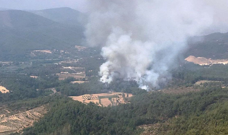 Yangınlarda son durum ne?