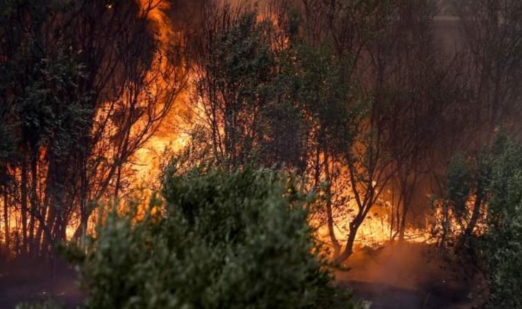 Bakan yardımcısından belediye başkanına skandal yanıt: 'Uçaklar geliyor ama siz göremiyorsunuz'