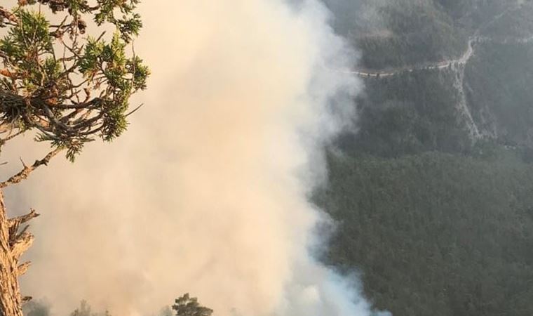 Adana’nın Saimbeyli ilçesinde orman yangını