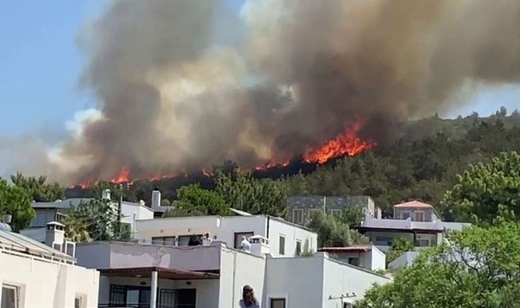 Bodrum'da yangına neden oldukları iddia edilen 3 kişi tutuklandı