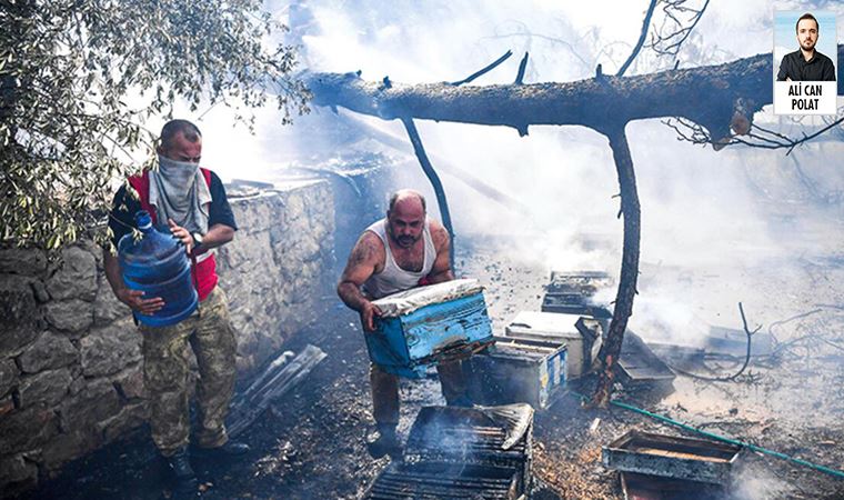 Bal üreticileri daha önce izin verilmeyen özel alanlara giriş izni istiyor