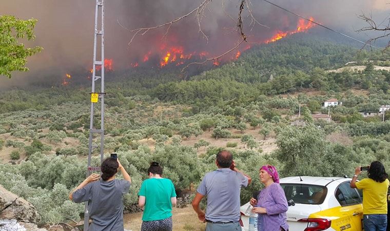 Aydın'a sıçrayan yangında son durum