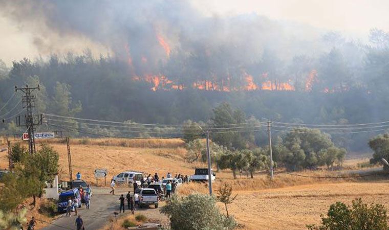 Arazi mafyalarının yangınlarla ilgisi