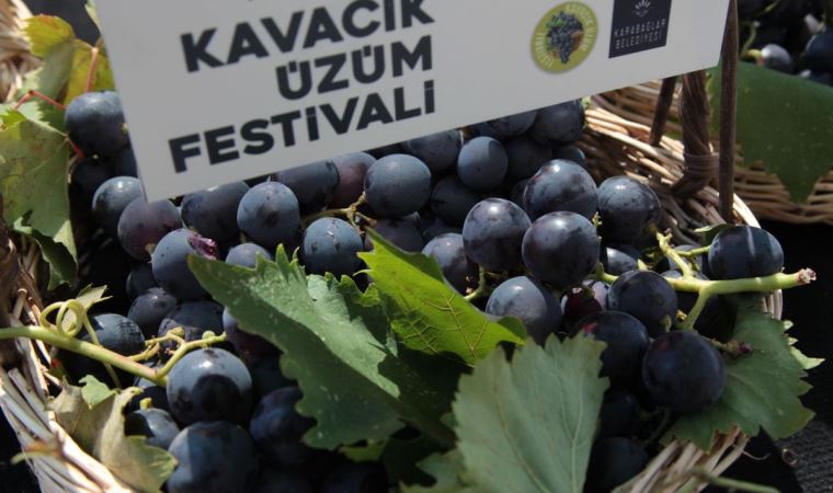 Kavacık Festivali için geri sayım başladı