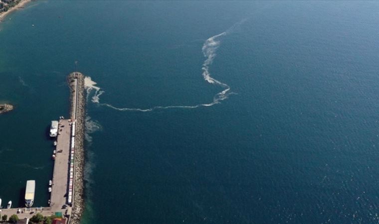 Marmara Denizi'nde dev köpek balığı yakalandı