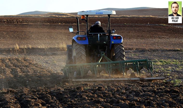 TÜİK’in Tarım Ürünleri Üretici Fiyatları Endeksi, ağustosta 26 ayın en hızlı artışını yaşadı