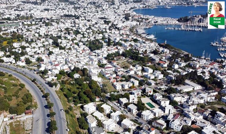 Turizm kenti Bodrum’da sıcaklık artışlarına ilişkin çarpıcı çevre raporu açıklandı