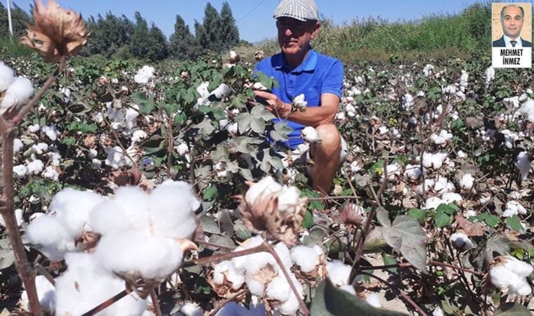 Söke Ovası kuraklığa karşı önlem bekliyor