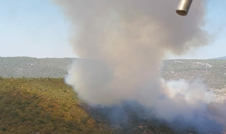 Muğla'nın Milas ilçesinde orman yangını (02.09.2021)