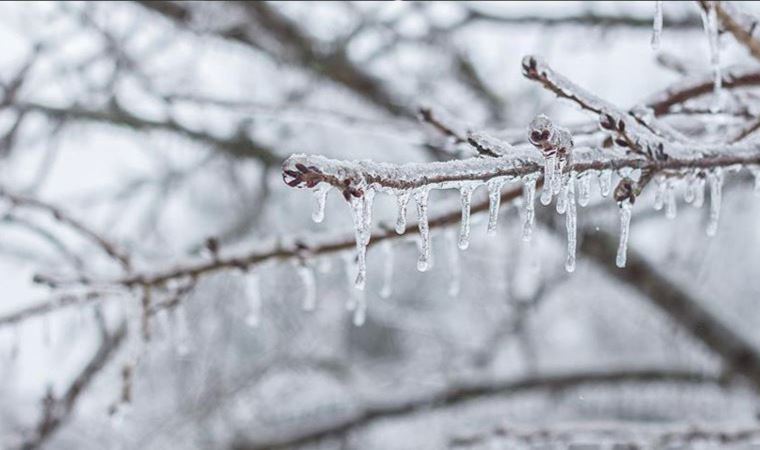 Meteoroloji'den İç Anadolu'daki 5 il için zirai don uyarısı yapıldı