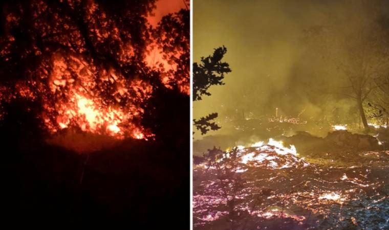 Bodrum Yalıkavak'taki orman yangını söndürüldü, soğutma çalışmalarına geçildi