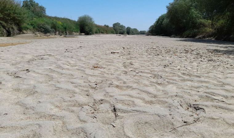 Menderes Nehri için acil önlem çağrısı