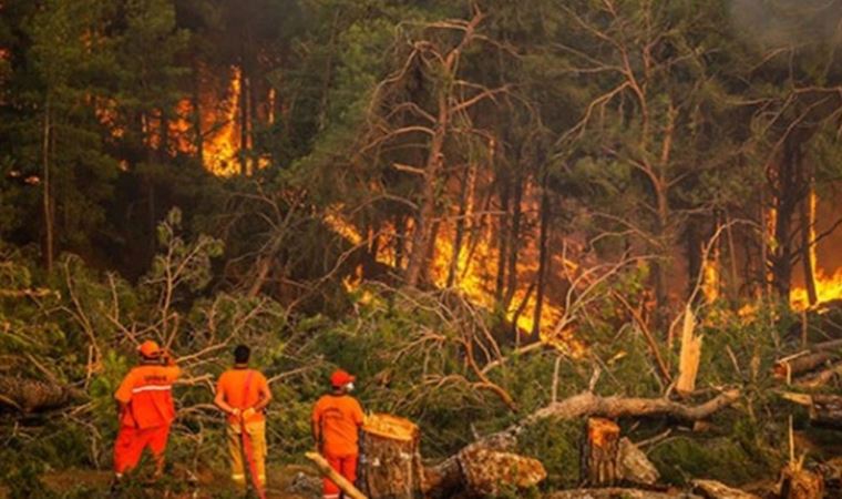 Antalya'da orman kenarında mola bile verilemeyecek