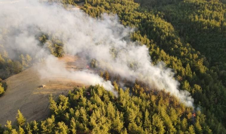 Balıkesir'de orman yangını (03.09.2021)