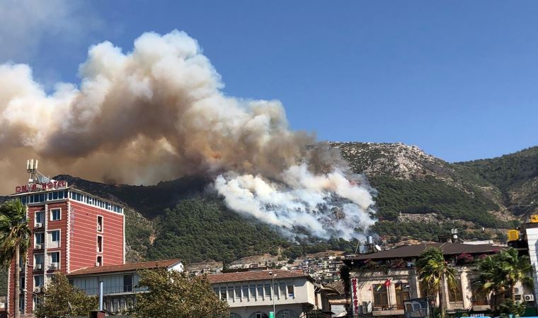 Son dakika... Hatay'da orman yangını