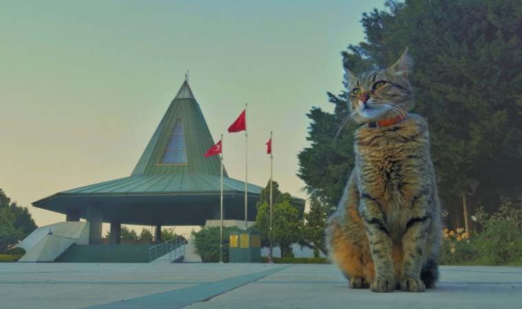 Güvenliklerin gözünden 100 karede İstanbul