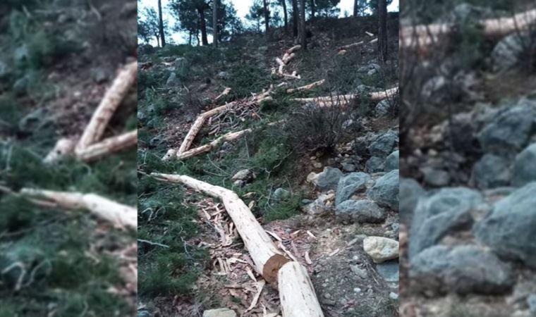 Kırkkavak köyünde mermer ocağı için yol açma çalışmaları başladı