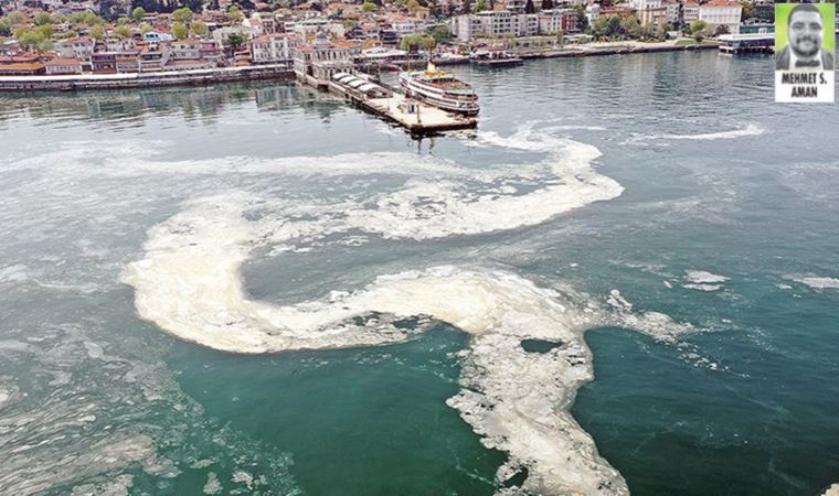 Prof. Dr.  Seval Sözen'den Marmara'ya ciddi uyarı: Müsilaj kabusu geri dönecek