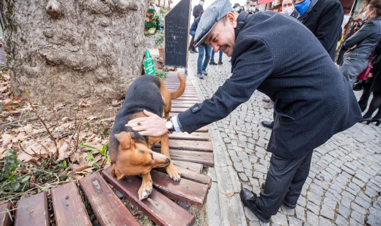 İzmir Büyükşehir Belediyesi ve Veteriner Hekimleri Odası'ndan sokak hayvanları iş birliği