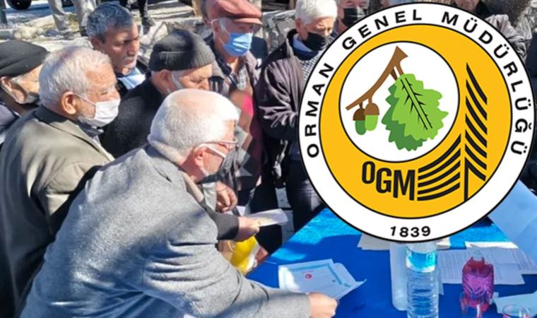 Orman Genel Müdürlüğü'nden 'Çöğmen köyü' açıklaması: Tebligatlar durduruldu