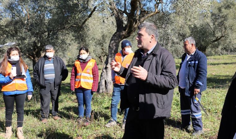 Bodrum'da zeytin üreticilerine destek