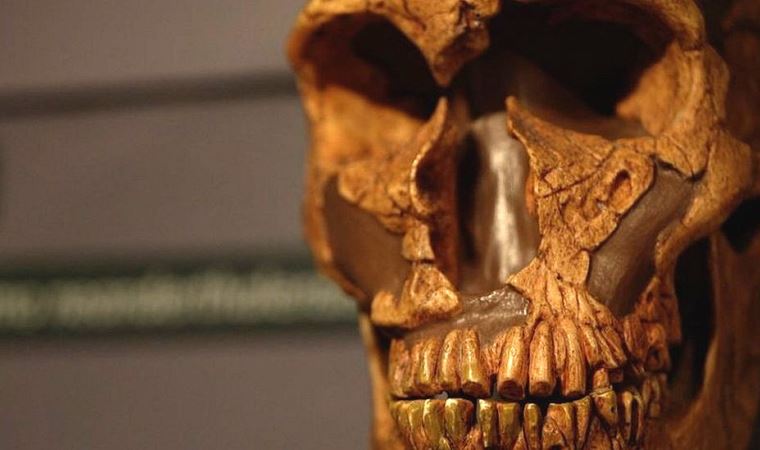 Neandertallerin soyu neden tükendi, köklerini modern insanların ataları mı kuruttu?