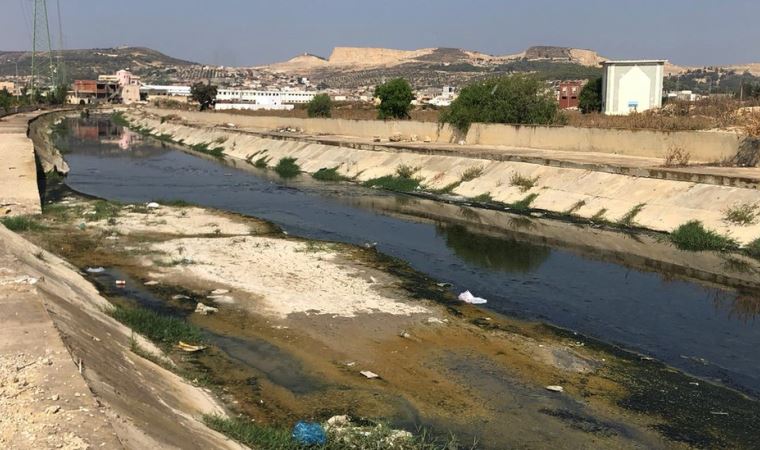 Nehirlere atılan ilaçlar 'küresel sağlık için risk oluşturuyor'