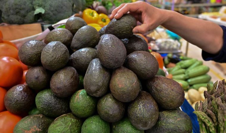 Avocados from Mexico imports suspended