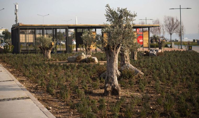 'İzmir’in sokaklarında, caddelerinde, kordonlarında çiçekler açacak'