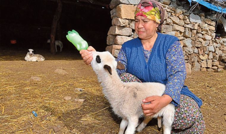 Meraİzmir ile üretici geleceğe umutla bakıyor