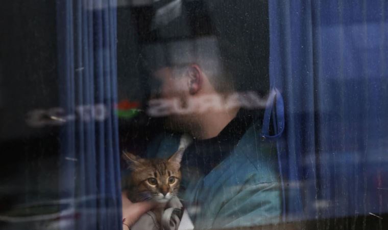 People are fleeing Ukraine with their pets as Russia's invasion continues