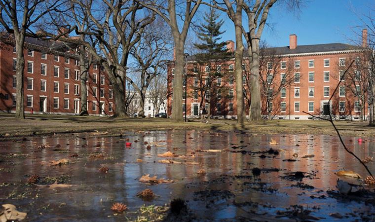 Harvard Üniversitesi'ne taciz davası!