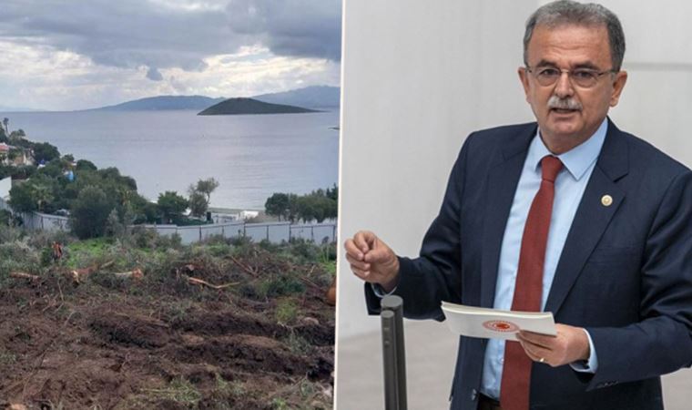 CHP'li Girgin'den Bitez’deki ağaç kesimine tepki