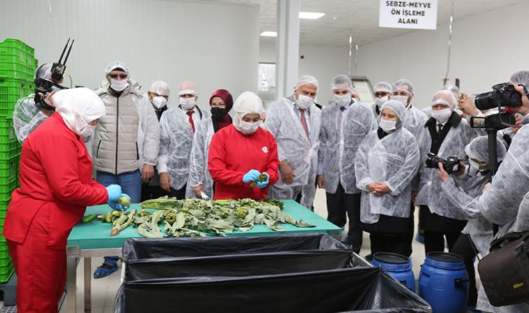 Efeler tarımsal ürün fabrikası açıldı: Yalnızca kadınlar çalışacak!