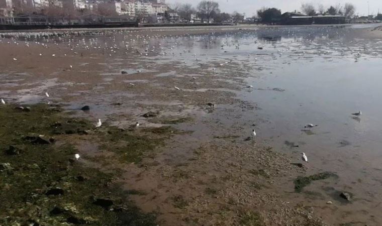 İstanbul'da korkutan görüntü: Deniz yaklaşık 200 metre çekildi