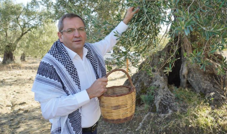 Ayvalık Belediye Başkanı Ergin'nde zeytin düzenlemesine tepki