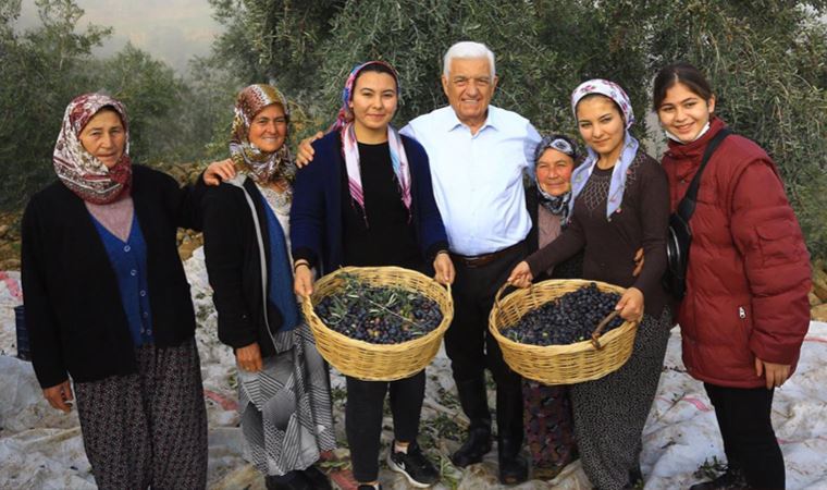 Başkan Gürün'den düzenlemeye tepki: Zeytini koruyacağız!