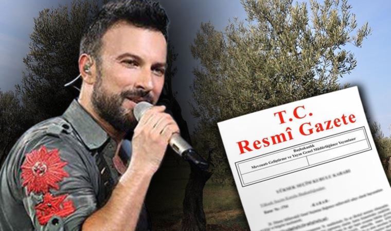 Tarkan'dan 'zeytinime dokunma' paylaşımı: 'Bu vatanın doğası sizin malınız değil'