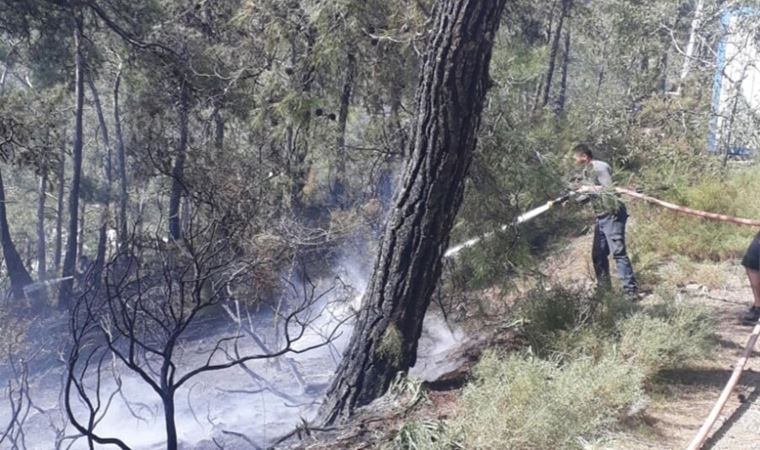 Fethiye'deki orman yangını söndürüldü