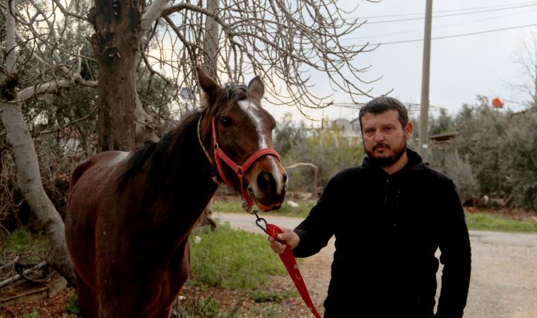 Çaldığı atla markete gitti